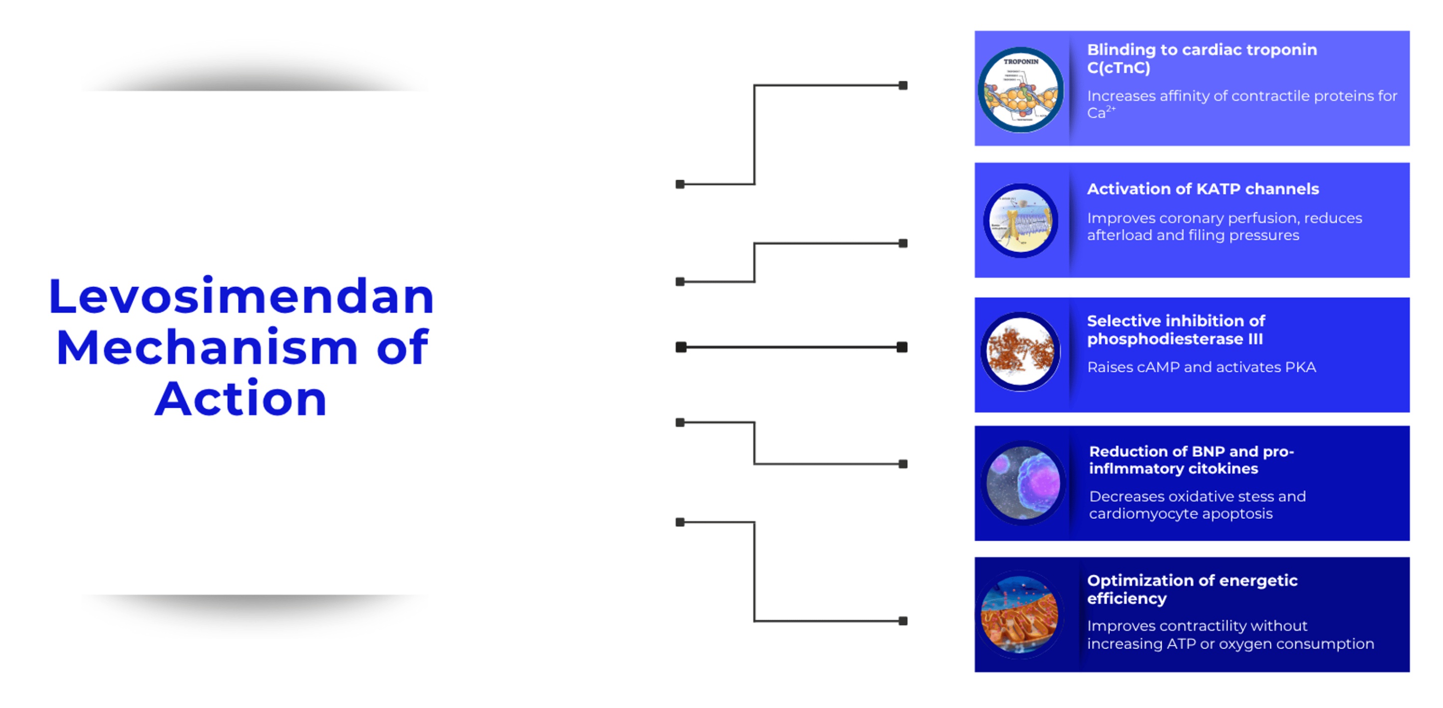 Mechanisms of action of levosimendan