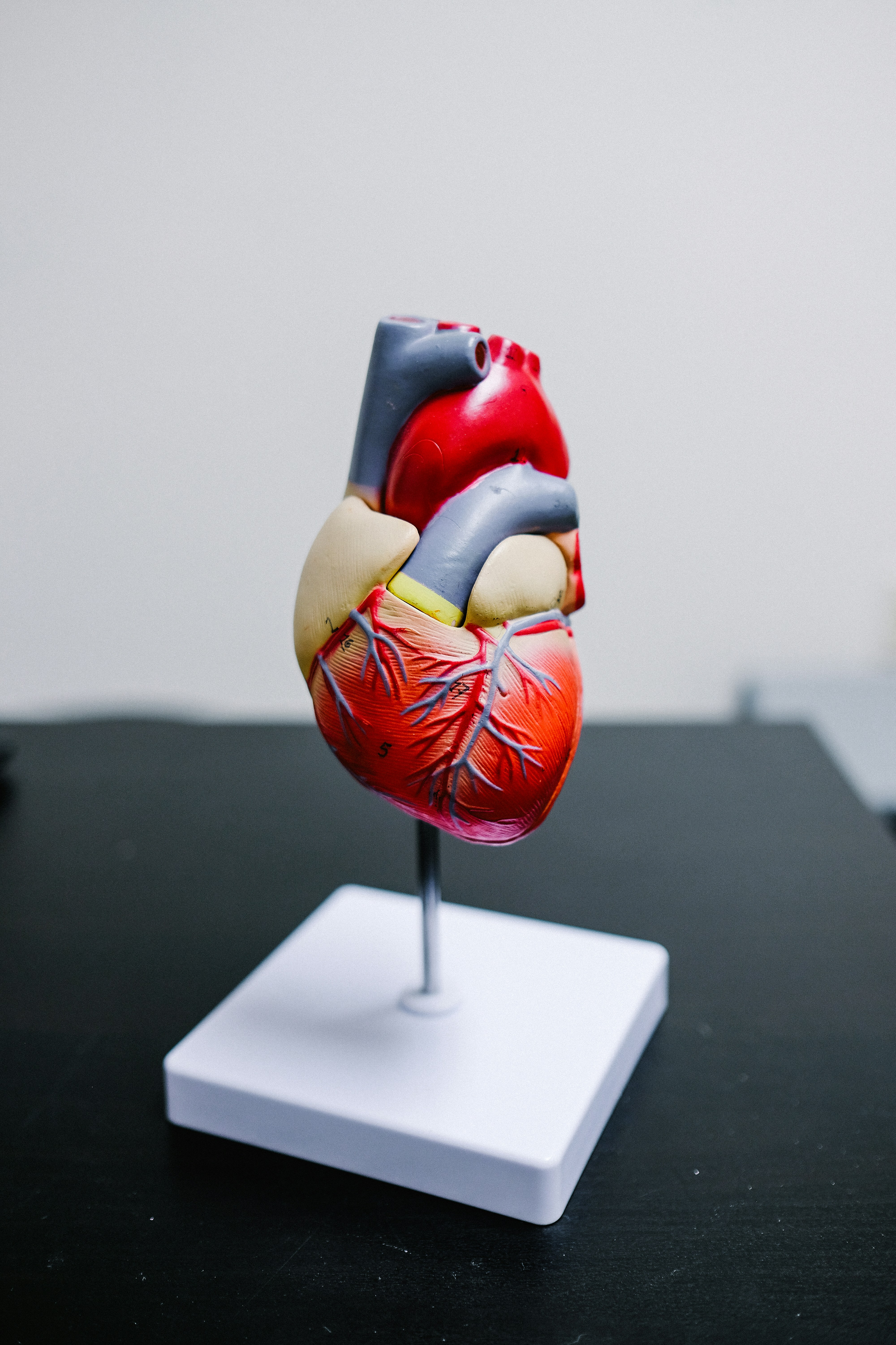 Heart failure definition